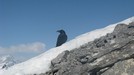 Scialpinista alimunito.
