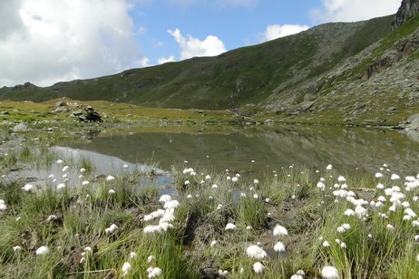 Laghetto alpino.