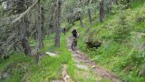 Single track nel bosco.