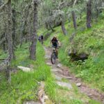 Single track nel bosco.