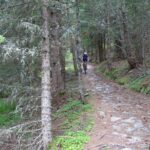 Single track nel bosco.