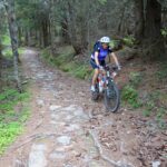 Single track nel bosco.