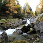 Colori d'autunno lungo il fiume.