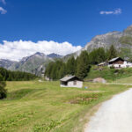Salecina