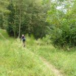 Tratto di single track.